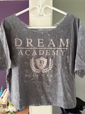 Dream Academy 'Self Care' Graphic Crop Tee - Gray with Light Pink Print